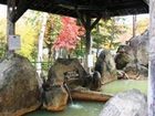 фото отеля Taisetsuzan Shirogane Kanko Hotel