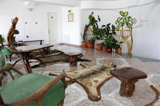 фото отеля Pension Atlantic Targu Mures
