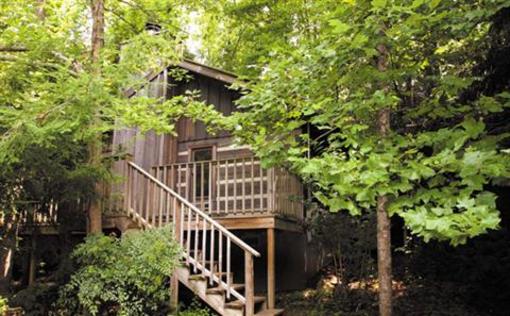 фото отеля Dancing Bear Lodge