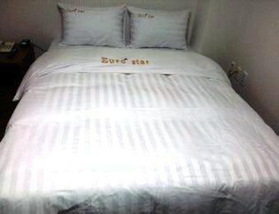 фото отеля Euro Star Motel
