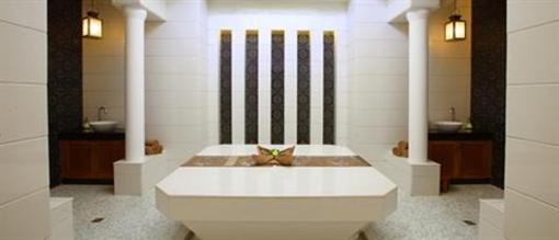 фото отеля Moksha Himalayan Spa Resort