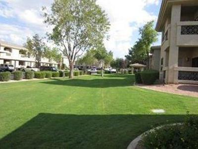 фото отеля The Stay in Kierland/North Scottsdale