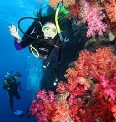 фото отеля Waisalima Beach Resort & Dive Centre