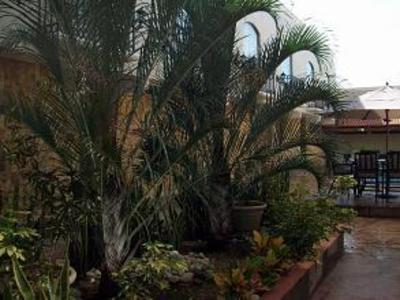 фото отеля Hotel Dubrovnik Merida