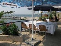 Carmen Hotel Venus