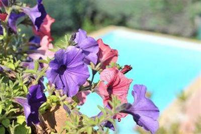 фото отеля Hotel Belvedere Cannes Mougins