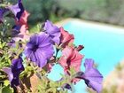 фото отеля Hotel Belvedere Cannes Mougins