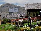 фото отеля Eco Inn Puno Titicaca Lake