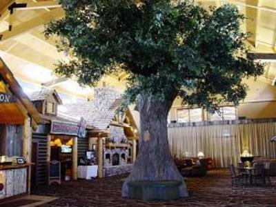фото отеля Lodge at Cedar Creek Resort & Water Park Rothschild