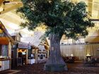 фото отеля Lodge at Cedar Creek Resort & Water Park Rothschild