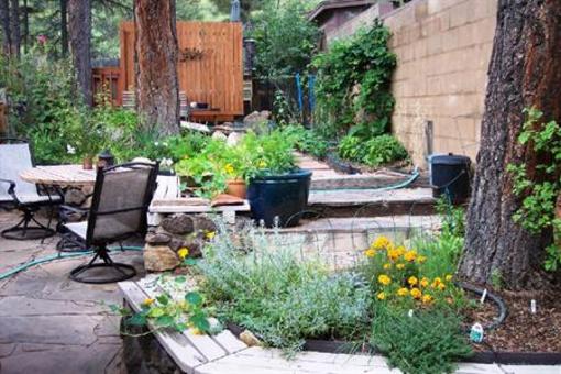 фото отеля Elden Trails Bed and Breakfast