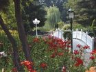 фото отеля Catlin Gardens