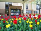 фото отеля Hampton Inn Chicago-O'Hare International Airport