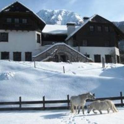 фото отеля Seebacher Pension