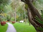 фото отеля Le Palme Hotel Cervia