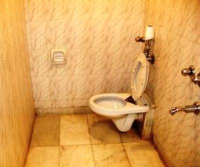 фото отеля Hotel Shingar