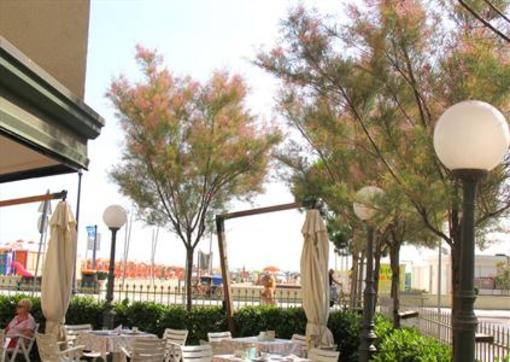 фото отеля Hotel Colorado Cesenatico