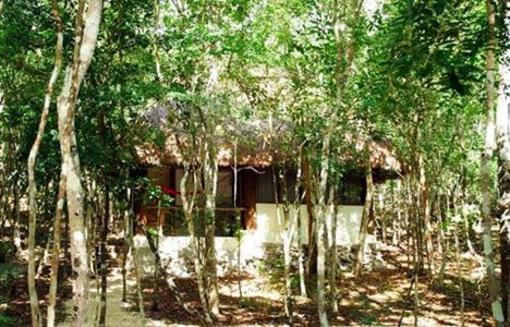 фото отеля Hotel Puerta Calakmul