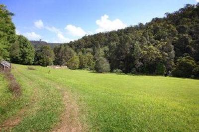фото отеля Mt Warning Forest Hideaway Studios Byrrill Creek