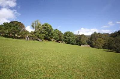 фото отеля Mt Warning Forest Hideaway Studios Byrrill Creek