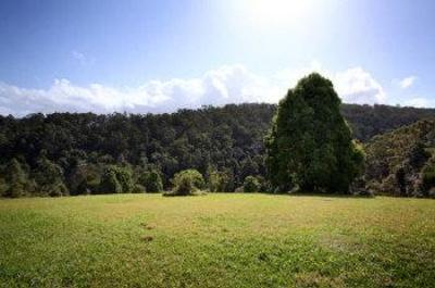 фото отеля Mt Warning Forest Hideaway Studios Byrrill Creek