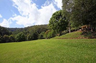 фото отеля Mt Warning Forest Hideaway Studios Byrrill Creek