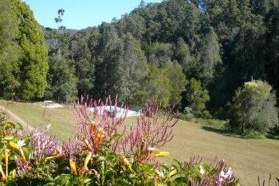 фото отеля Mt Warning Forest Hideaway Studios Byrrill Creek