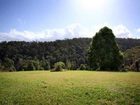 фото отеля Mt Warning Forest Hideaway Studios Byrrill Creek