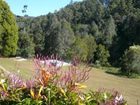 фото отеля Mt Warning Forest Hideaway Studios Byrrill Creek