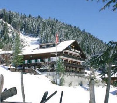 фото отеля Hotel Alpenrose Gargellen