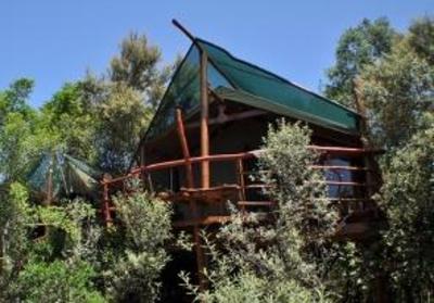 фото отеля Teniqua Treetops