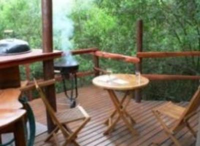 фото отеля Teniqua Treetops