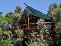Teniqua Treetops