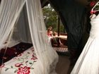 фото отеля Teniqua Treetops