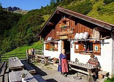 фото отеля Brandnerhof