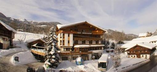 фото отеля Hotel Schweizerhof Wildschonau