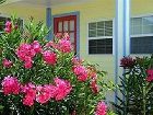 фото отеля Hideaways at Palm Bay
