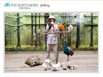 фото отеля The Suites Hotel Gyeongju