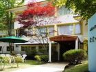 фото отеля Kyu Karuizawa Hotel Shinonome Salon