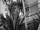 фото отеля Teetotum Hotel