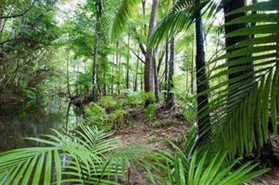 фото отеля Port Douglas Retreat