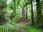 фото отеля Port Douglas Retreat