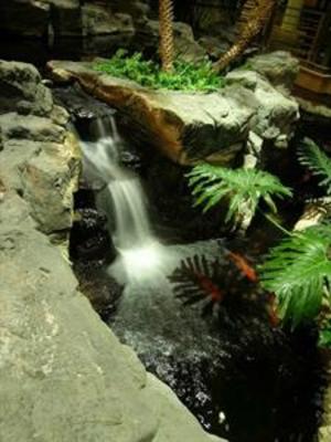 фото отеля Embassy Suites North Shore / Deerfield