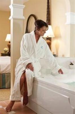 фото отеля Hilton Grand Vacations at SeaWorld