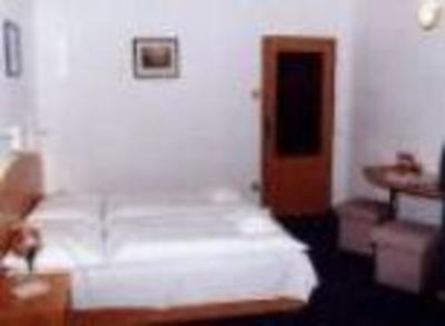 фото отеля Hotel Pansky Dum Kostelec nad Orlici