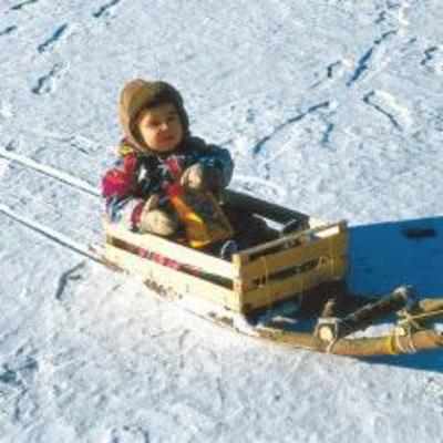 фото отеля Familienurlaub Reiterhof Zum Hammerschmied