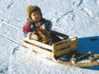 фото отеля Familienurlaub Reiterhof Zum Hammerschmied
