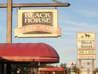 фото отеля Black Horse Lodge and Suites