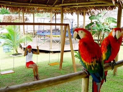 фото отеля Amazon Rainforest Lodge