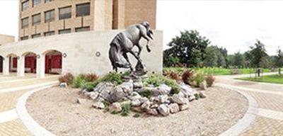 фото отеля BEST WESTERN PLUS Edinburg Inn & Suites